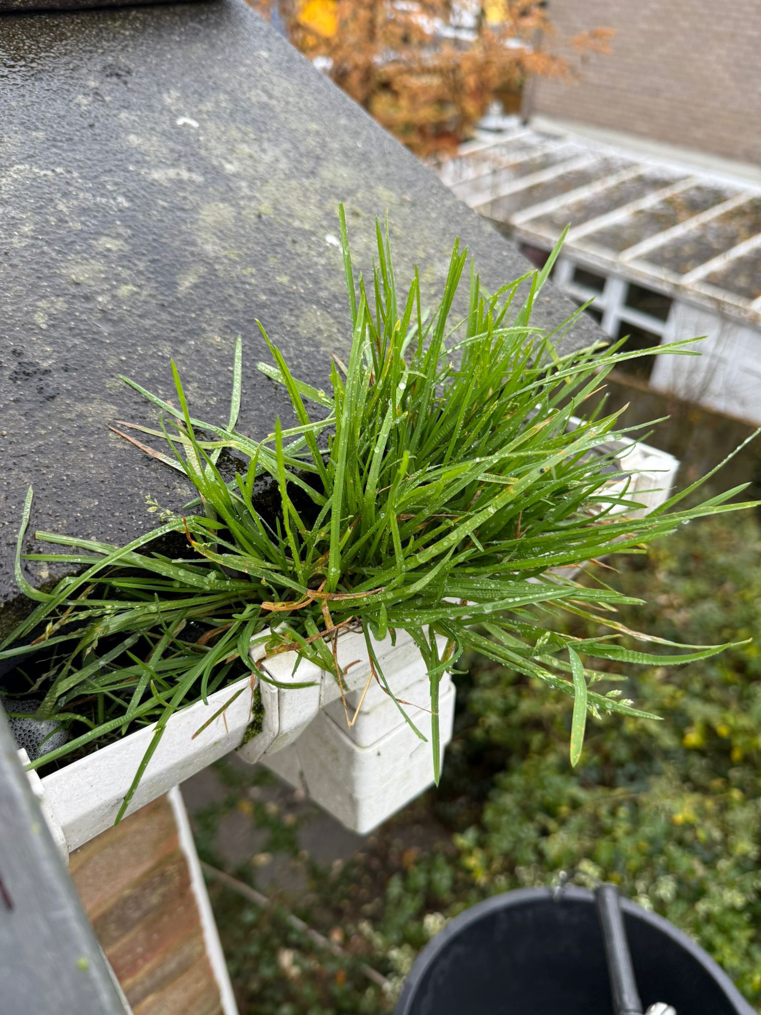 Blocked gutter downpipe in Cobham